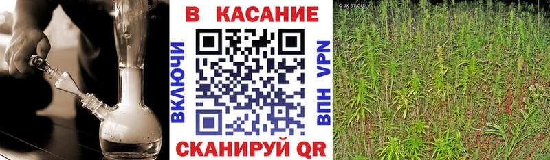 Купить наркотики цена Грязовец Alpha PVP Галлюциногенные грибы Cocaine