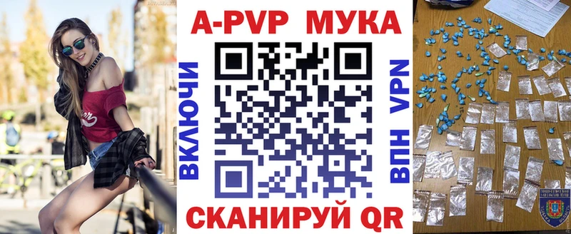 A-PVP СК КРИС  Грязовец 