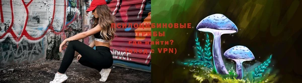 винт Арсеньев
