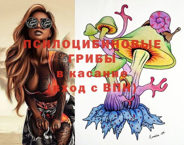 винт Арсеньев