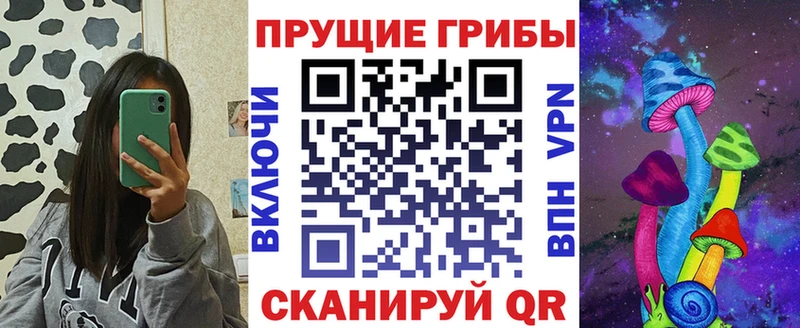 mega ССЫЛКА  Грязовец  Псилоцибиновые грибы Magic Shrooms 